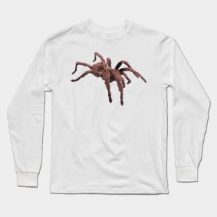 Brown Tarantula Long Sleeve T-Shirt